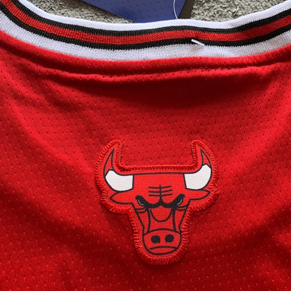 Derrick Rose - Chicago Bulls Jersey