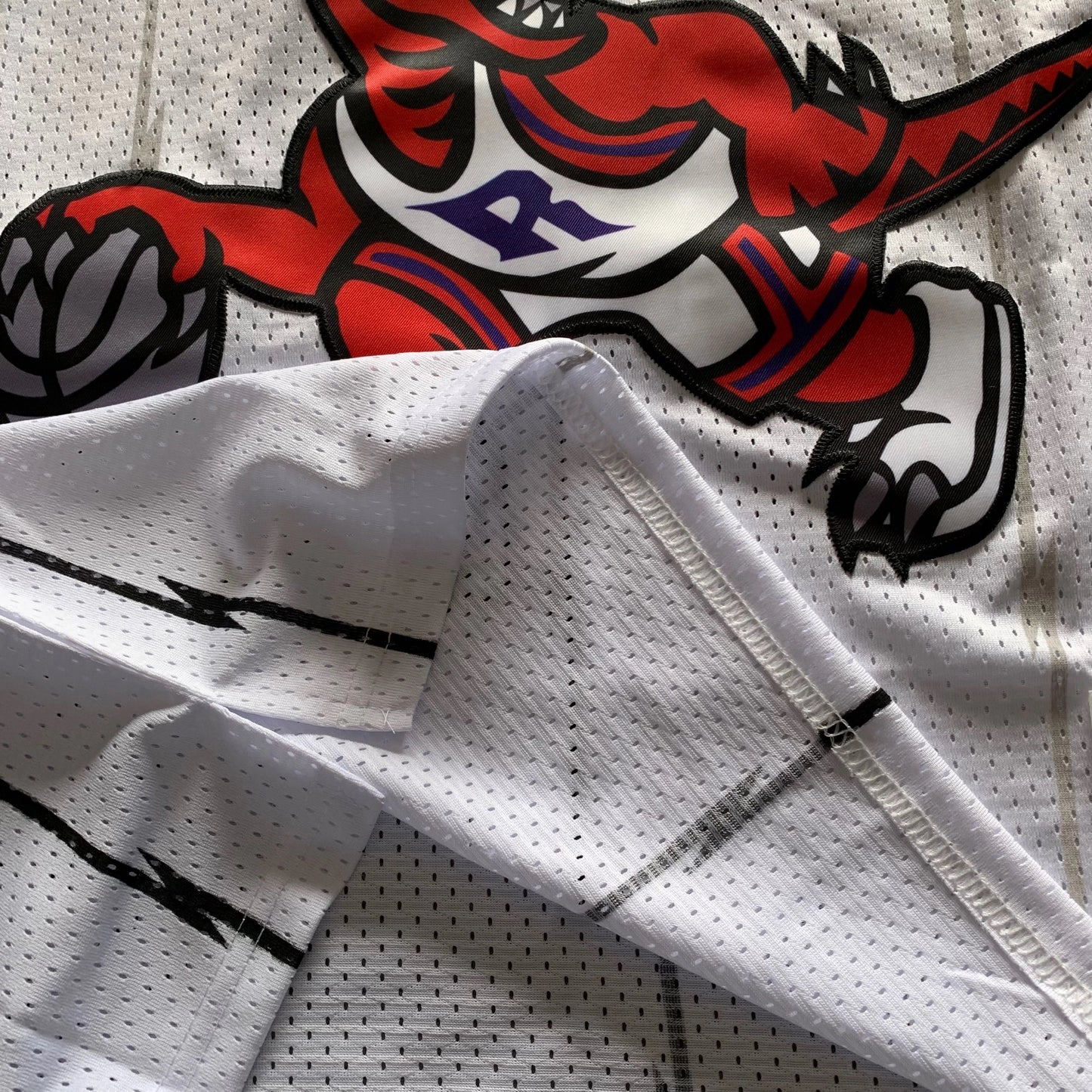 Tracy McGrady - Toronto Raptors - Vintage Jersey