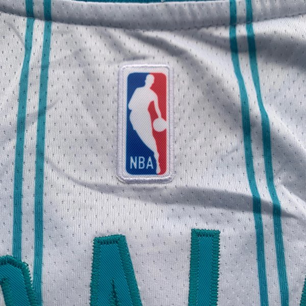 LaMelo Ball - Charlotte Hornets Jersey