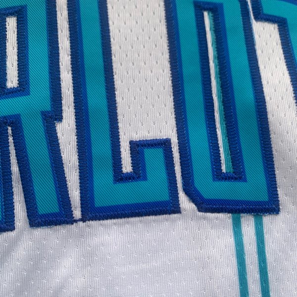 LaMelo Ball - Charlotte Hornets Jersey